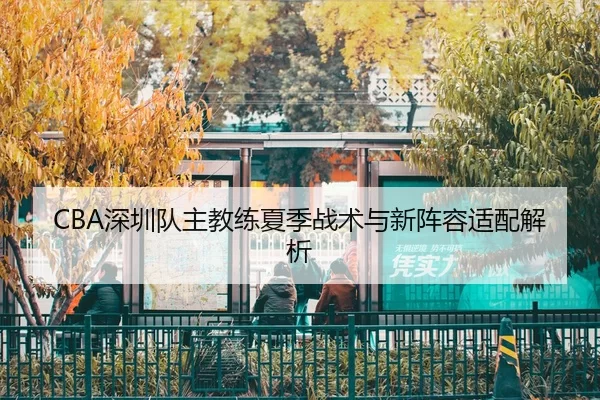 CBA深圳队主教练夏季战术与新阵容适配解析